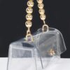 Transparent Flap Clutch with CCB Handle – Mixed Metal Frame