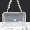 Transparent Flap Clutch with CCB Handle – Mixed Metal Frame