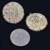 Round Rhinestone Stud Earrings – Gold & Silver