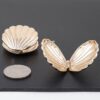 Modern Clam Shell Post Earrings – Gold & Silver