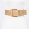 Clear PVC Belt with Metal Buckle – Gold or Silver