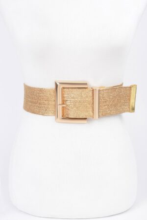 Clear PVC Belt with Metal Buckle – Gold or Silver