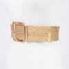 Clear PVC Belt with Metal Buckle – Gold or Silver
