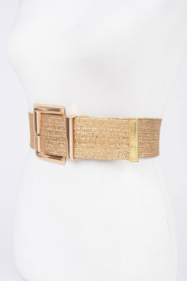 Clear PVC Belt with Metal Buckle – Gold or Silver