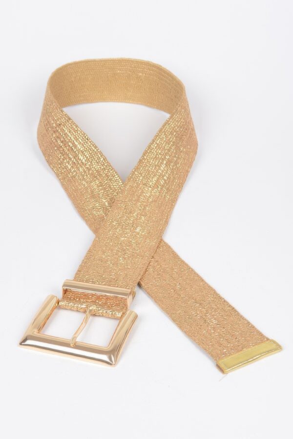 Clear PVC Belt with Metal Buckle – Gold or Silver