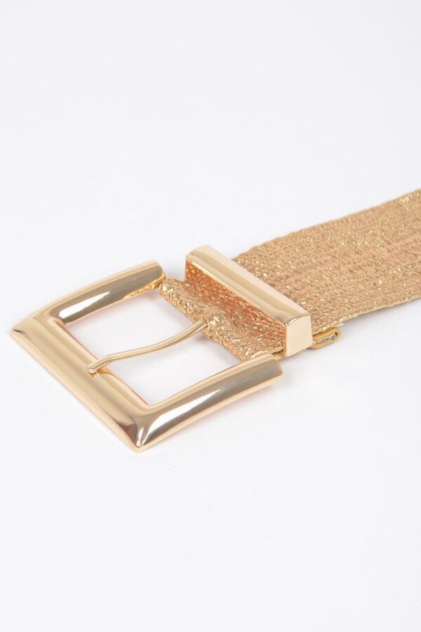 Clear PVC Belt with Metal Buckle – Gold or Silver