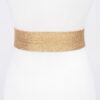 Clear PVC Belt with Metal Buckle – Gold or Silver