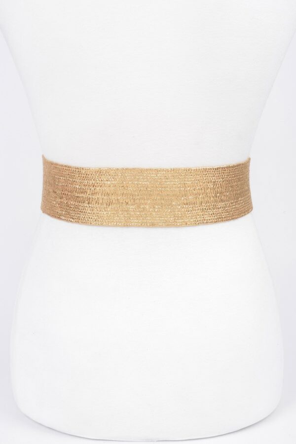 Clear PVC Belt with Metal Buckle – Gold or Silver