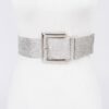 Clear PVC Belt with Metal Buckle – Gold or Silver