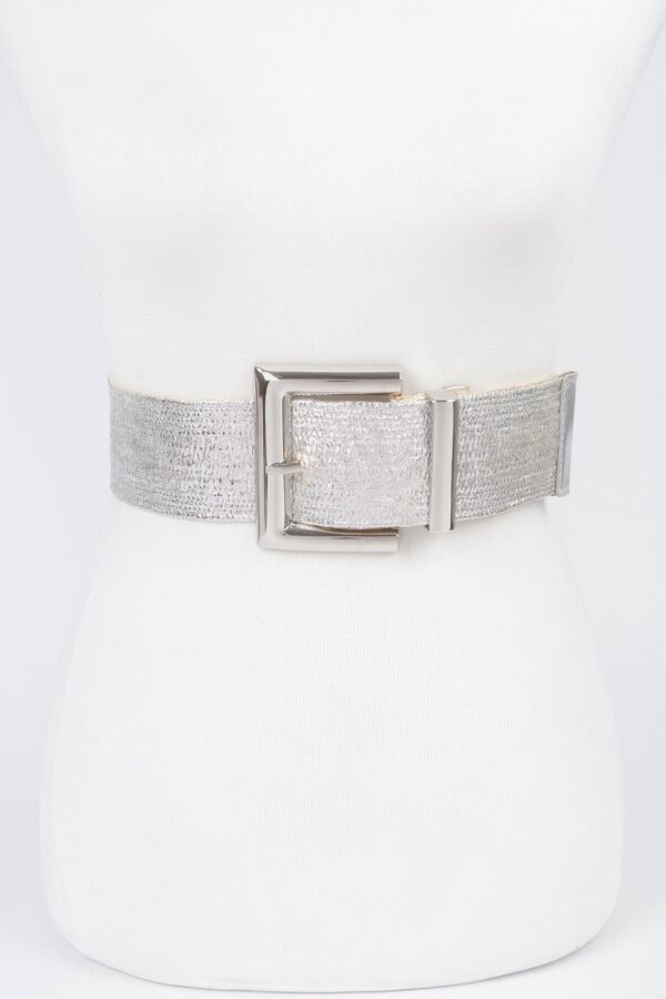 Clear PVC Belt with Metal Buckle – Gold or Silver