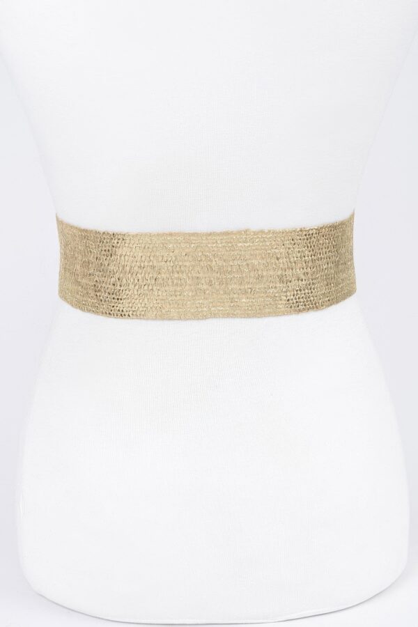 Wide Pearl Buckle Elastic Belt – Gold or Silver