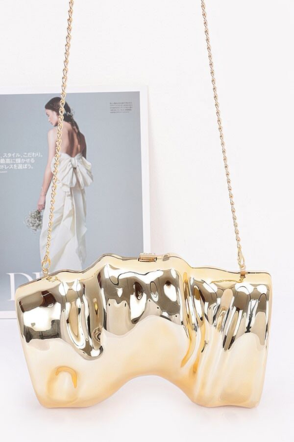 Acrylic Case Bag – Transparent Box Clutch with Metal Accents