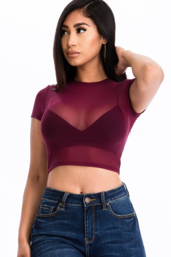 Sheer Mesh Short-Sleeve Crop Top – Lightweight