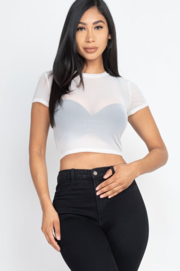 Sheer Mesh Short-Sleeve Crop Top – Lightweight