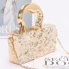 Metallic Acrylic Box Clutch with Removable Chain