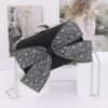 Rhinestone Ribbon Nylon Hard-Case Clutch