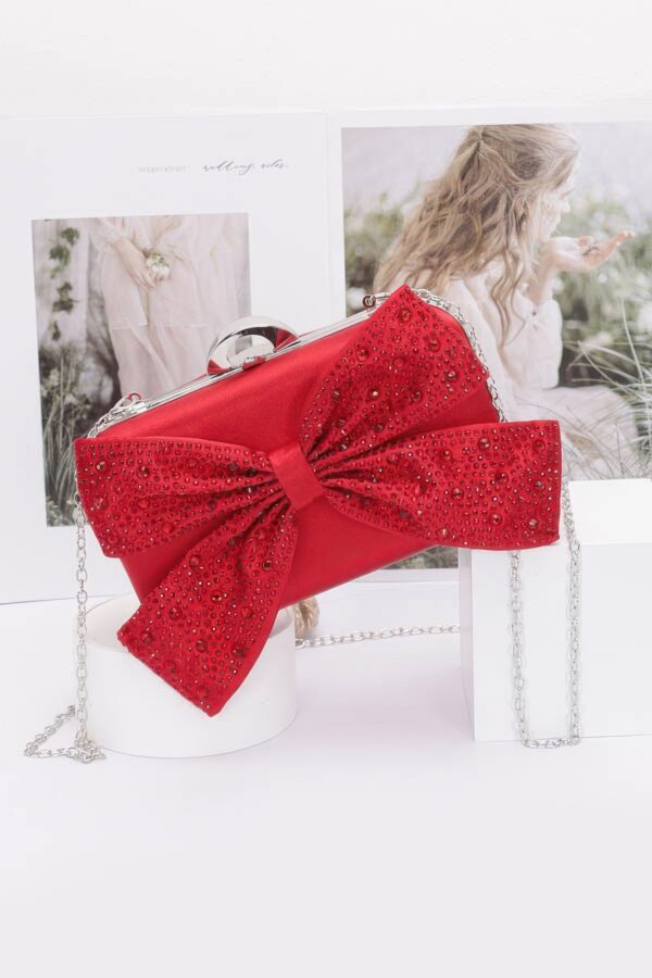 Rhinestone Ribbon Nylon Hard-Case Clutch
