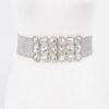 Metallic Straw Stretch Belt with Rhinestones