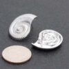 Gold-Dipped Spiral Shell Earrings