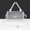 Transparent CCB Handle Flap Clutch with Pearl Accents