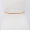 Double-Leaf Closure Metal Waist Belt