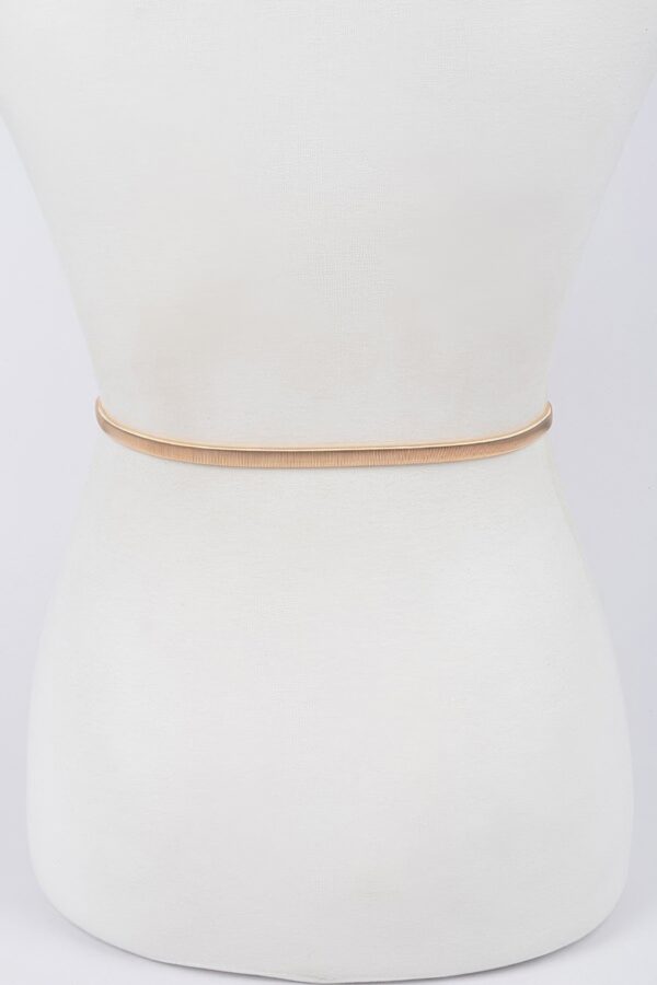 Double-Leaf Closure Metal Waist Belt