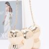 Acrylic Case Bag – Bow-Shaped Glossy Clutch