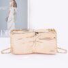 Acrylic Case Bag with Bow Accent – Glossy Finish