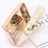 Acrylic Case Bag with Bow Accent – Glossy Finish