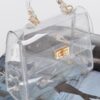 Transparent Single-Handle Clutch – PVC & Metal Details