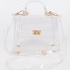 Transparent Single-Handle Clutch – PVC & Metal Details