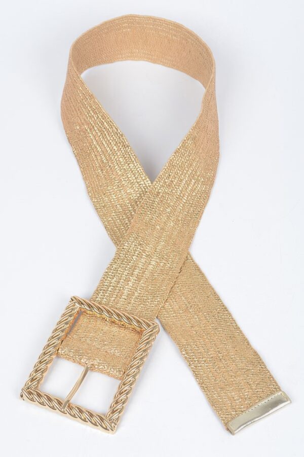 Wide Clear Belt with Oversized Square Buckle