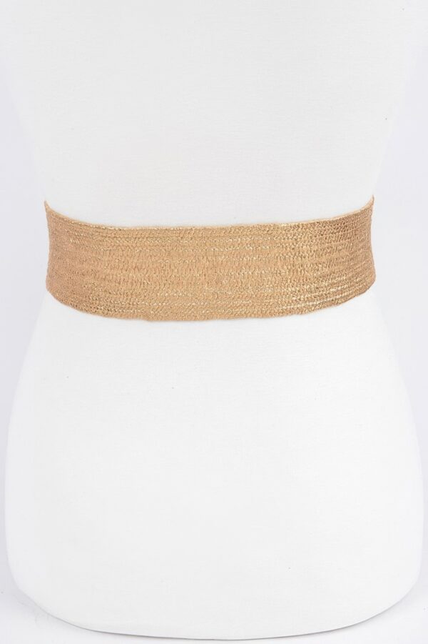 Wide Clear Belt with Oversized Square Buckle