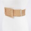 Wide Clear Belt with Oversized Square Buckle
