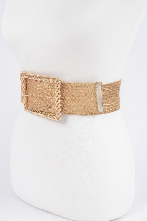 Wide Clear Belt with Oversized Square Buckle