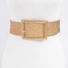 Wide Clear Belt with Oversized Square Buckle