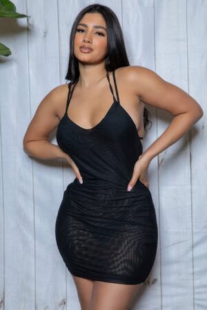 Aaliyah Sheer Mini Dress with Crisscross Back
