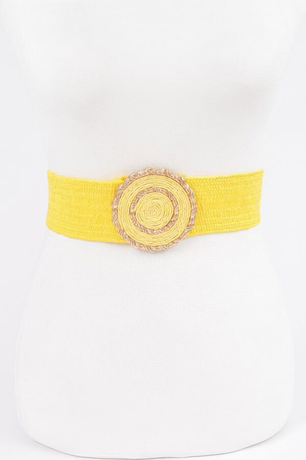 Faux Straw Elastic Belt with Gold Buckle