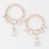 Crystal Rim Drop Earrings with Center Gem
