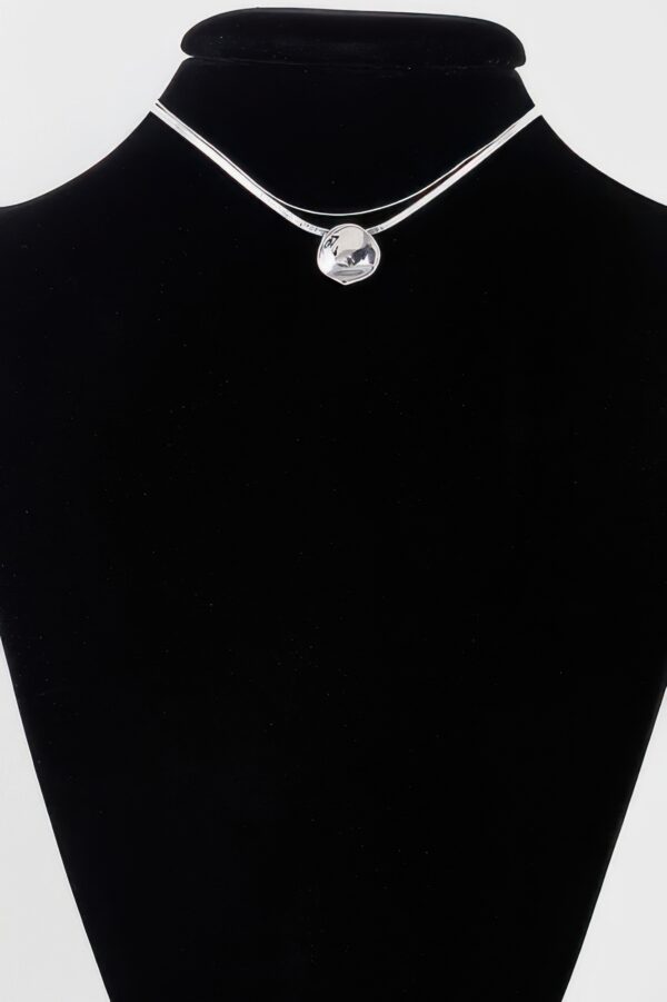 Reflection Plate Snake Chain Necklace – Polished Gold-Tone