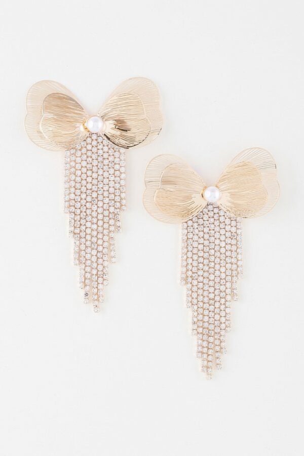 Butterfly Wing Earrings with Delicate Fringe Accent