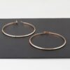 Gilded Loops 3″ Gold Hoop Earrings