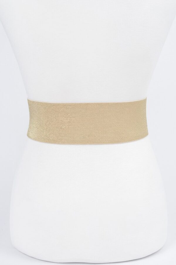 Metallic Faux Leather Wide Elastic Waist Belt