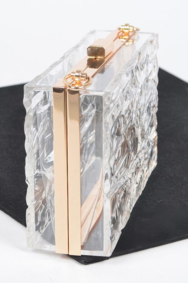 Clear Acrylic Case Clutch with Mixed-Metal Trim