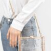 Clear Acrylic Case Clutch with Mixed-Metal Trim