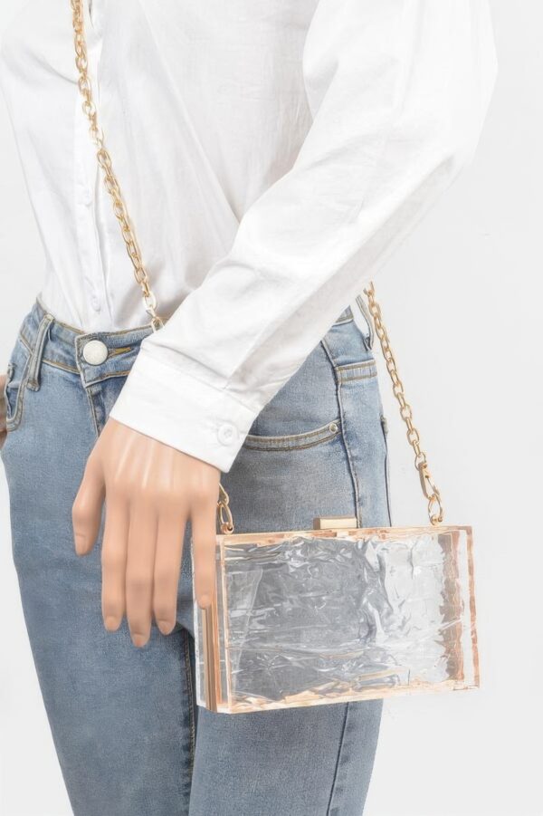 Clear Acrylic Case Clutch with Mixed-Metal Trim