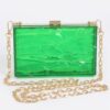 Clear Acrylic Case Clutch with Mixed-Metal Trim