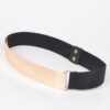 Polished Metal Plate Elastic Waist Belt