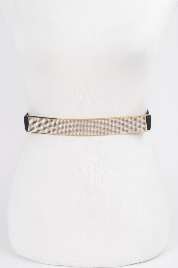 Rhinestone Metal Plate Elastic Waist Belt