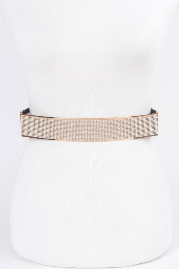 Rhinestone Metal Plate Elastic Belt – Sparkling Plate